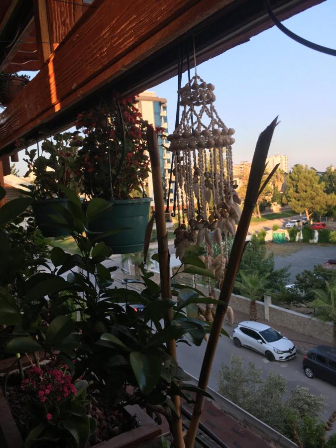 Orange Garden Kwatera prywatna *