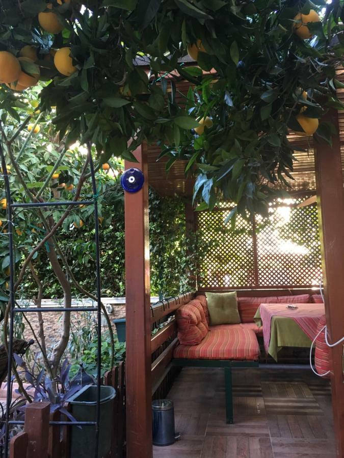 Orange Garden Kwatera prywatna *
