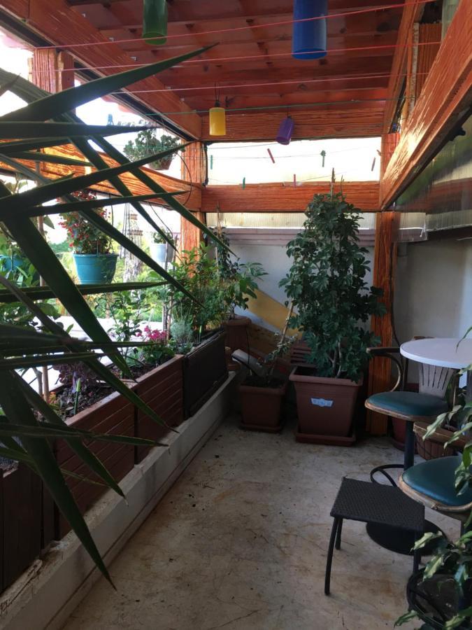 Orange Garden בית אירוח