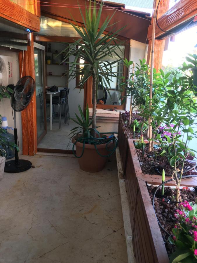 בית אירוח Orange Garden אנטליה