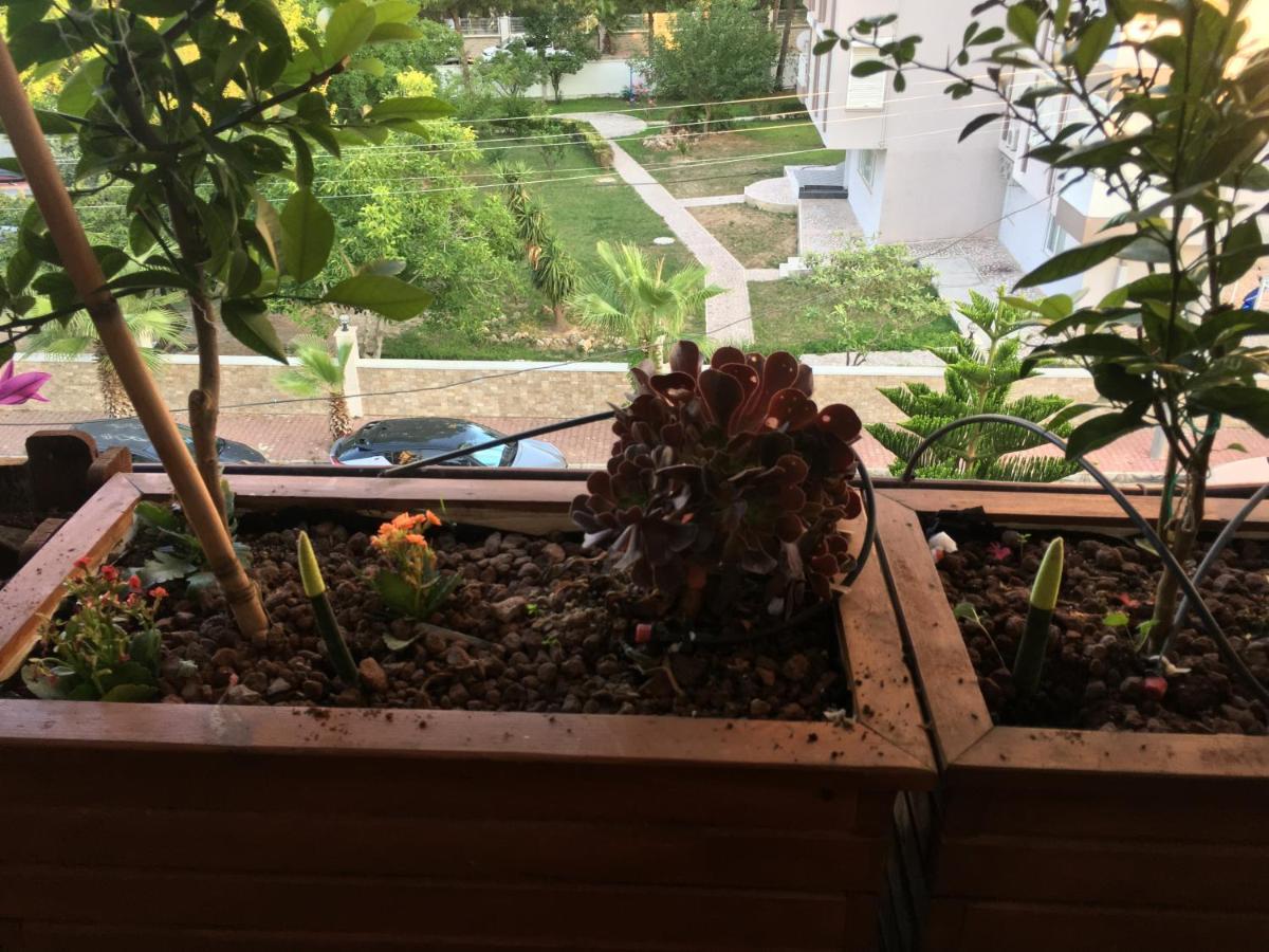 בית אירוח Orange Garden *