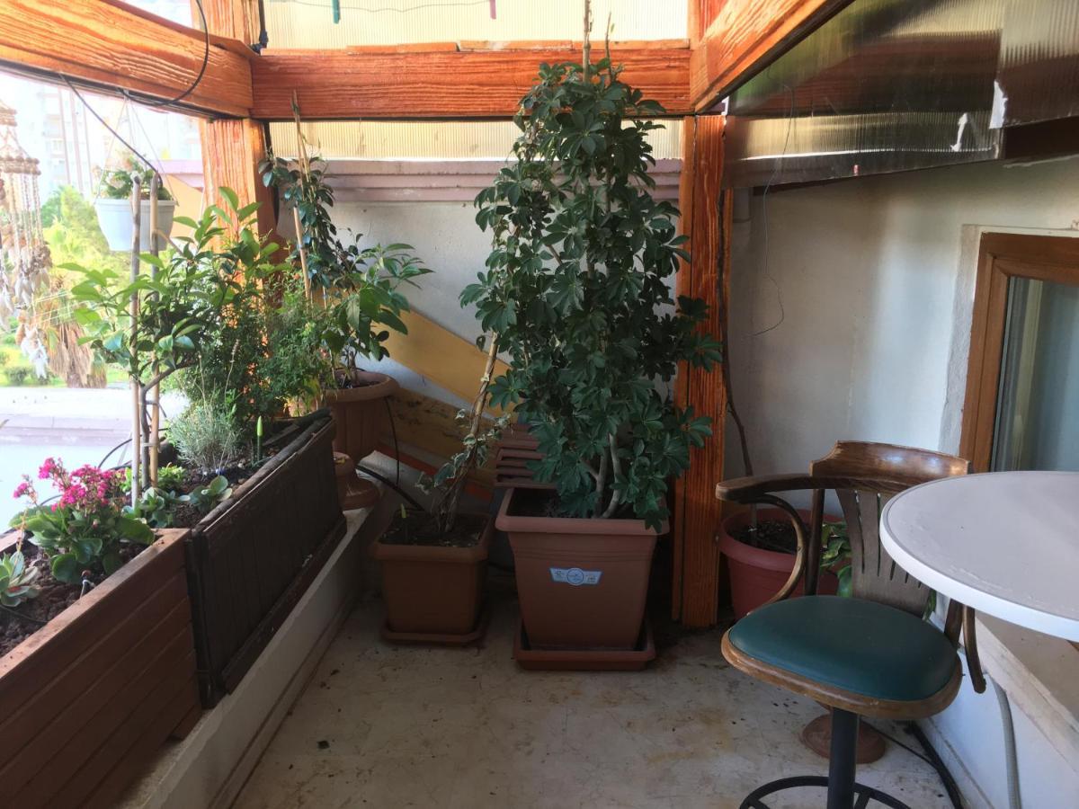 בית אירוח Orange Garden