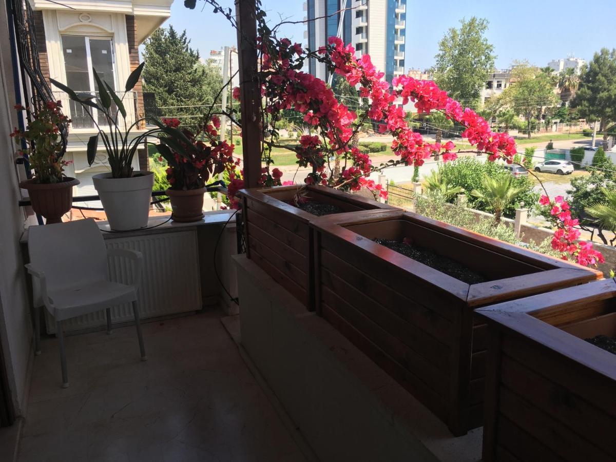 בית אירוח Orange Garden