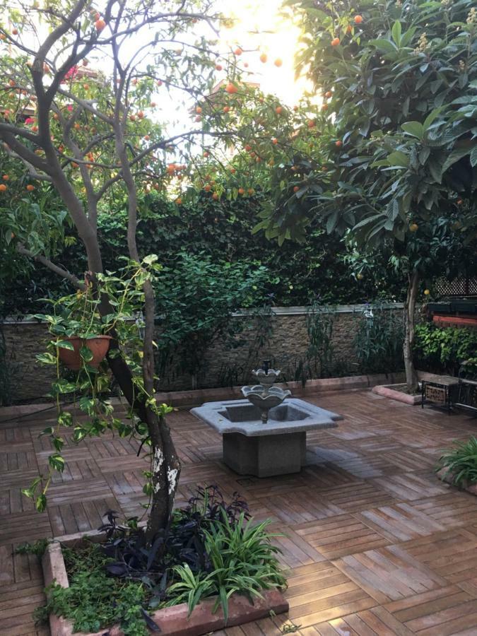 בית אירוח Orange Garden *
