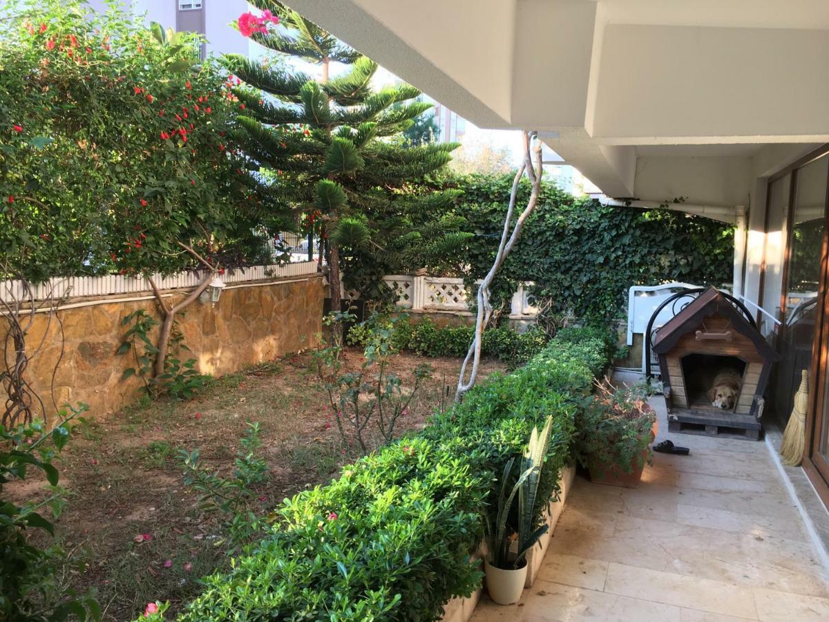 Orange Garden בית אירוח *
