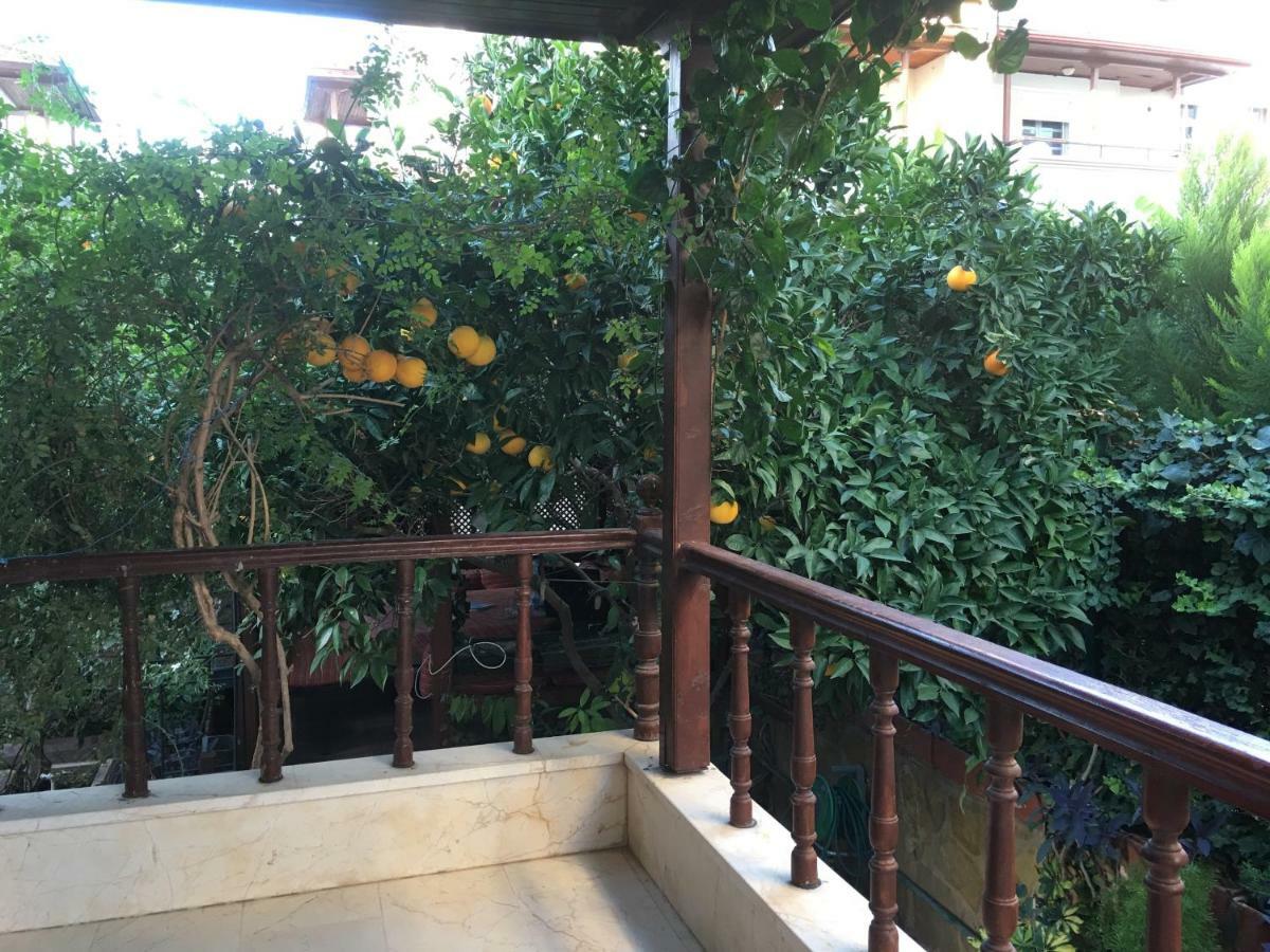 Orange Garden בית אירוח