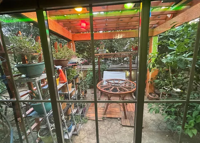 Orange Garden